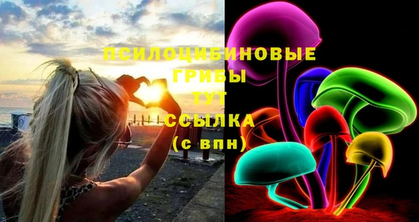 герыч Вяземский
