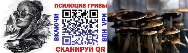 блэк спрут онион  Нефтекамск  Псилоцибиновые грибы мицелий 