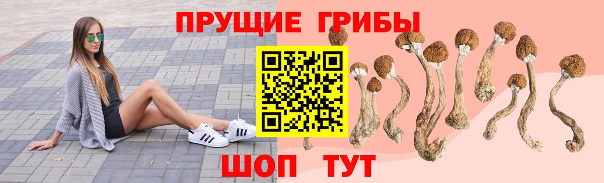 Псилоцибиновые грибы Cubensis Нефтекамск
